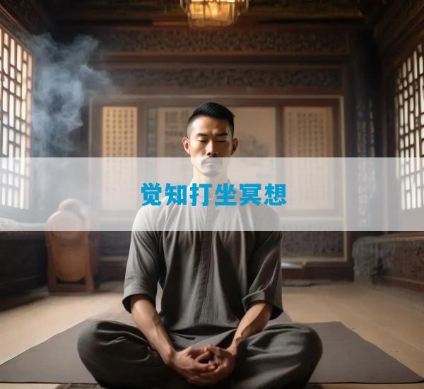觉知打坐冥想